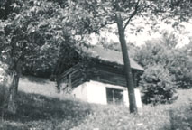 eika image
